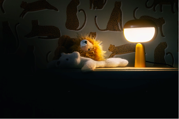 « Avec le nouveau TGV INOUI, chaque détail a été pensé pour améliorer l'expérience des voyageurs. Toute en rondeur et avec une lumière un peu magique, la lampe participe pleinement à y créer une ambiance douce et poétique. Nous sommes heureux qu'elle puisse désormais trouver une nouvelle vie dans les intérieurs de celles et ceux qui aiment le design et le voyage. »
Isabelle Le Saux, Directrice du Design SNCF Voyageurs © David Pillet
